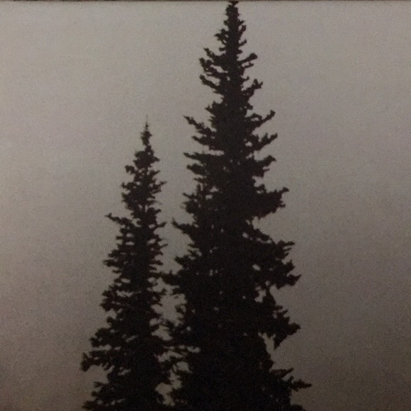 Meet your Posher, Yumi - Picture 1 of 1